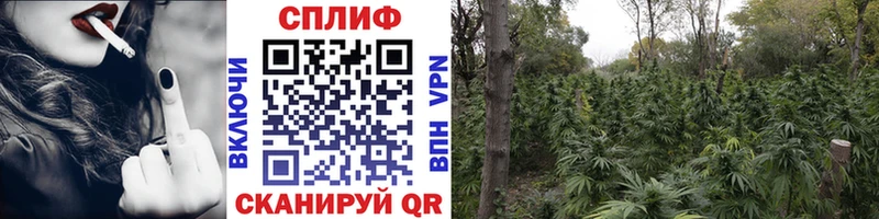 NBOMe Хотьково