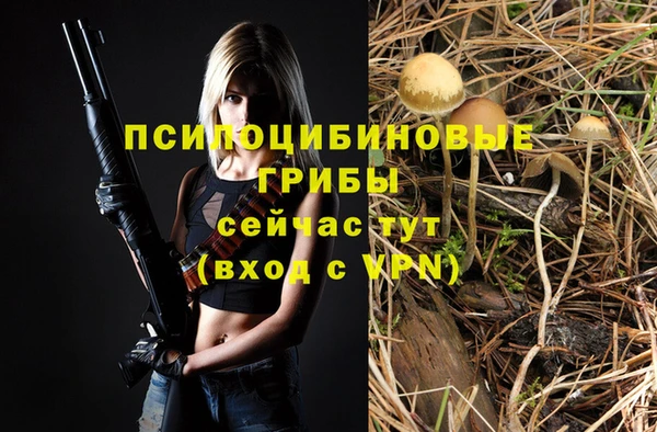 метадон Покачи