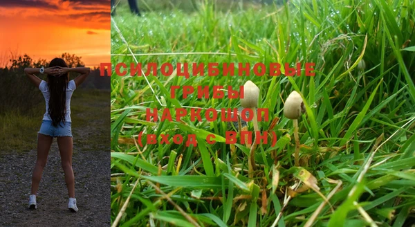 дмт Покровск