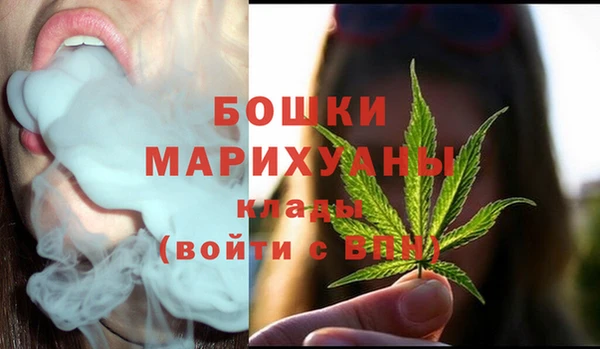 дмт Покровск